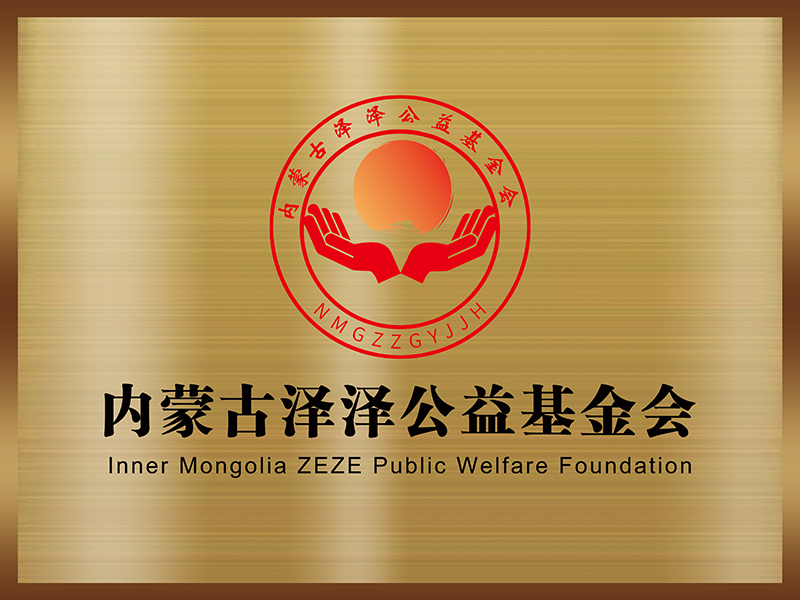 内蒙古泽泽公益基金会.jpg